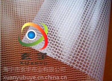 浙江工厂现货供应透明夹网布透明网格布透明格子布