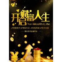 支付系统开发公司,可提供源码