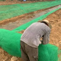 江宁区现货供应河道治理三维植被网_图片